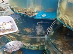 水产区-同道蒸汽海鲜烧烤自助(刘庄夜市店)