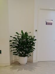 -天津伊美尔医疗整形美容专科医院