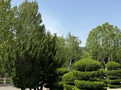 -石家庄市植物园