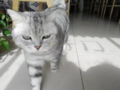 -平行世界·猫咖(首经贸店)