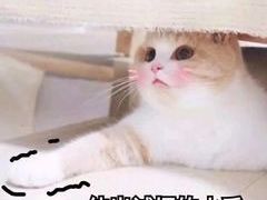 -芙蓉国粹·川剧秀