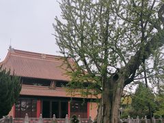 -苏州文庙(姑苏区)