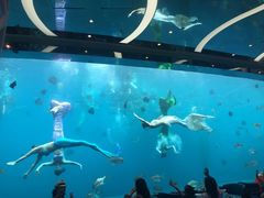 -瑞德姆美人鱼海底演艺主题餐厅(亚龙湾店)