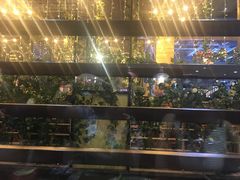 -井缘河风寿司(Touch12街店)
