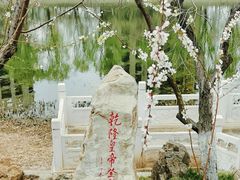 -桃花堤公园