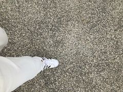 -七星潭蓝天广场