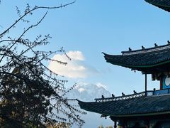 -黑龙潭公园