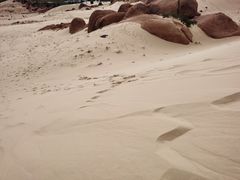-玉龙沙湖景区