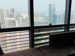 点击看大图 -禧月荟S月子中心(侨城店)