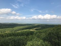 -塞罕坝国家级自然保护区