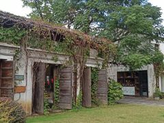 -田园东方蜜桃村的田野营地