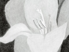 -六出私塾LiuChu•成人美术书法系统课程专业画室(熊婆婆的花园店)