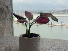 -22ºN BISTRO西餐&酒馆