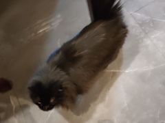 -一盃山水咖啡茶馆