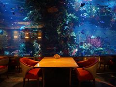 -迪拜帆船酒店海底餐厅