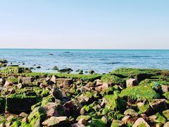 -青岛第二海水浴场