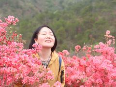 -木兰云雾山
