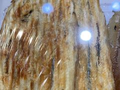 -水一方现烤鱿鱼丝大连特产(高新苏宁百货店)