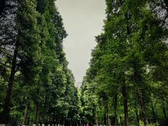 -龙头寺公园