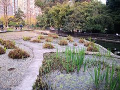 -成都市活水公园