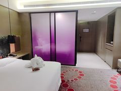 -南京禄口机场雅高铂尔曼大酒店