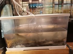 -西安皇冠假日酒店·朱雀咖啡厅