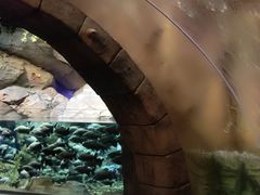 -哈尔滨波塞冬海底世界