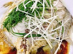 -华源餐厅·海鲜大排档(日月贝店)