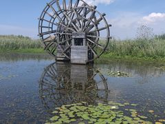 -宁波杭州湾国家湿地公园