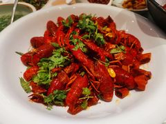 -新日月育才大酒店-中餐厅(环城北路店)
