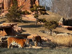 -北京野生动物园