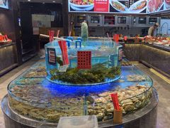 -潍城老菜馆·地标美食
