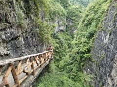 -鹿院坪生态旅游景区