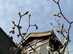 -国药中服免税(北京坊店)