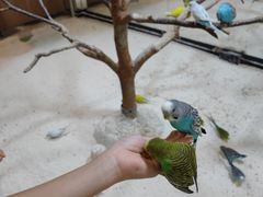 -上海大自然野生昆虫馆(东方明珠·爬宠昆虫探索中心)