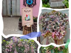 -正佳雨林生态植物园