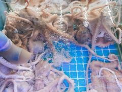 -金海湾海鲜排档(朱家尖店)