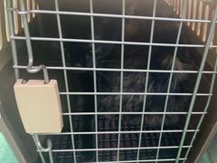 -东方动物医院·宠保定点·骨科·转诊中心(春城路·昆明站分院)