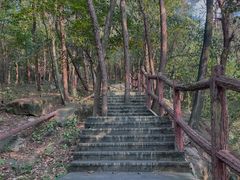 -铁山坪森林公园