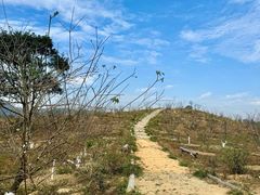 -马峦山郊野公园