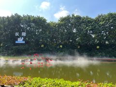 -广州长隆飞鸟乐园