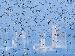 -老虎石海上公园