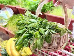 -赵美丽·重庆社区火锅·直营店(火车东站·中豪国际店)