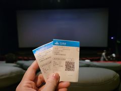 -万达影城(江桥万达广场IMAX店)
