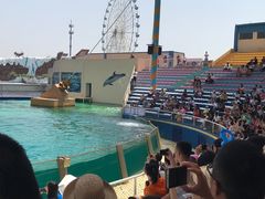 -秦皇岛乐岛海洋王国