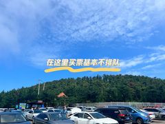 -摩天岭风景区