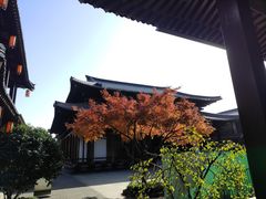 -香积寺