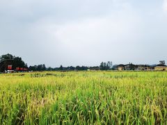 -中国天府农业博览园