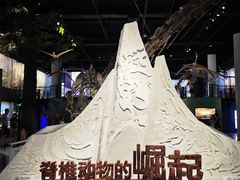 -国家自然博物馆