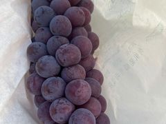 -美家乐农庄·露营·团建(大治路店)